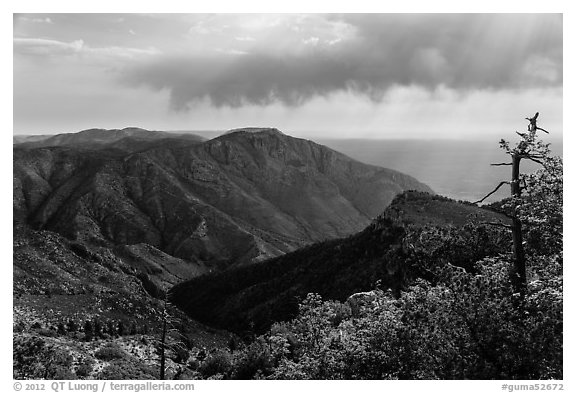 Mountain view with Hunter Peak and Pine Spring Canyon. Guadalupe Mountains National Park (black and white)