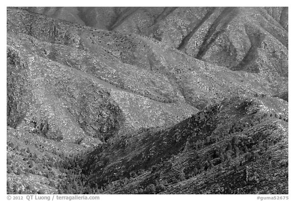 Ridges from fossil Reef. Guadalupe Mountains National Park (black and white)