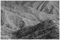 Ridges from fossil Reef. Guadalupe Mountains National Park, Texas, USA. (black and white)