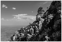 Slopes with trees and rocks high above plain. Guadalupe Mountains National Park ( black and white)