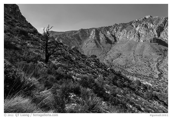Slopes with shrubs and Hunter Peak. Guadalupe Mountains National Park (black and white)