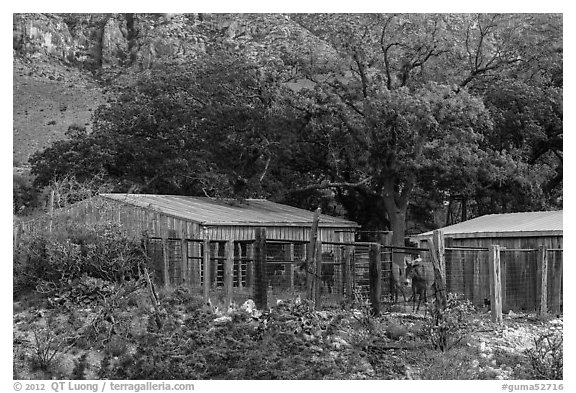 Frijole Ranch stables. Guadalupe Mountains National Park, Texas, USA.