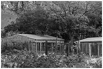 Frijole Ranch stables. Guadalupe Mountains National Park, Texas, USA. (black and white)