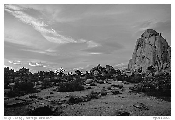 Landscape with climbers at sunset. Joshua Tree National Park (black and white)
