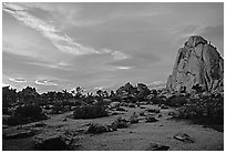 Landscape with climbers at sunset. Joshua Tree National Park, California, USA. (black and white)