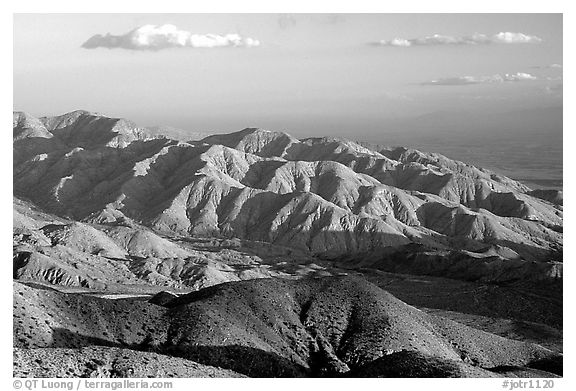 Keys view, sunset. Joshua Tree National Park (black and white)