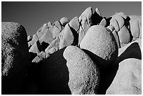 Jumbo rocks, sunset. Joshua Tree National Park, California, USA. (black and white)