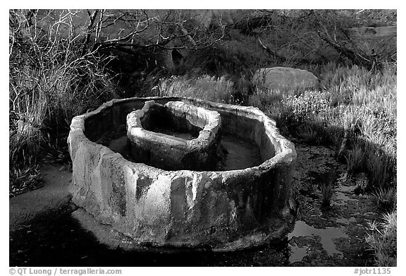 Water reservoir near Barker Dam. Joshua Tree National Park (black and white)