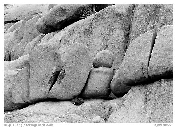 Stacked boulders in Hidden Valley. Joshua Tree National Park (black and white)