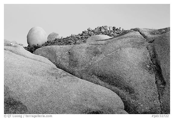 Rocks at dusk, Jumbo Rocks. Joshua Tree National Park (black and white)