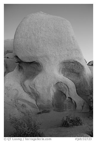 Skull rock at dusk. Joshua Tree National Park (black and white)