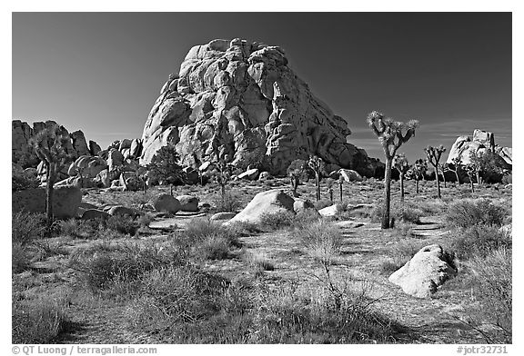 Tall rockpile. Joshua Tree National Park (black and white)