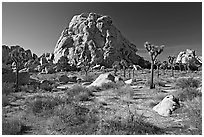 Tall rockpile. Joshua Tree National Park, California, USA. (black and white)