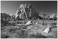 Tall rockpile. Joshua Tree National Park ( black and white)