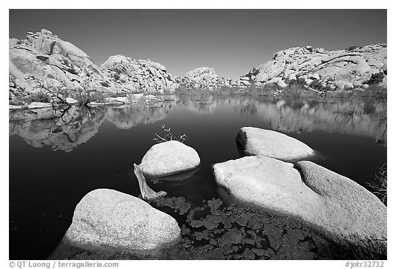 Barker Dam reservoir, mid-day. Joshua Tree National Park, California, USA.