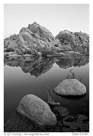 Rockpiles and reflections, Barker Dam, dawn. Joshua Tree National Park, California, USA.