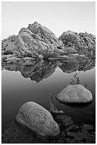 Rockpiles and reflections, Barker Dam, dawn. Joshua Tree National Park, California, USA. (black and white)