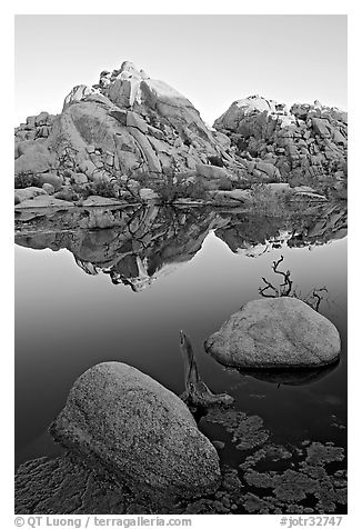 Rockpile and refections, Barker Dam, sunrise. Joshua Tree National Park, California, USA.