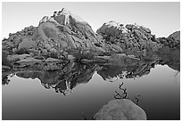 Rocks reflected in reservoir, Barker Dam, sunrise. Joshua Tree National Park, California, USA. (black and white)