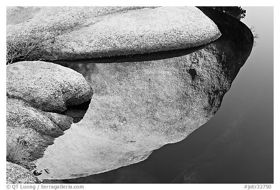 Rocks and reflections, Barker Dam. Joshua Tree National Park (black and white)