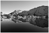 Rocks, willows, and Reflections, Barker Dam, morning. Joshua Tree National Park, California, USA. (black and white)