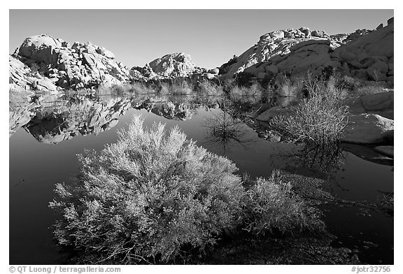 Barker Dam pond and rock formations, morning. Joshua Tree National Park, California, USA.