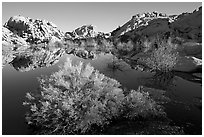 Barker Dam pond and rock formations, morning. Joshua Tree National Park, California, USA. (black and white)