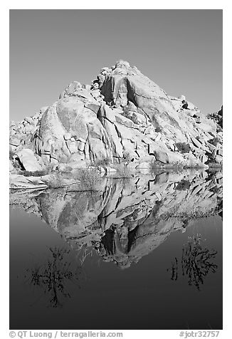 Rock formations reflected in Barker Dam Pond, morning. Joshua Tree National Park, California, USA.