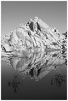 Rock formations reflected in Barker Dam Pond, morning. Joshua Tree National Park, California, USA. (black and white)