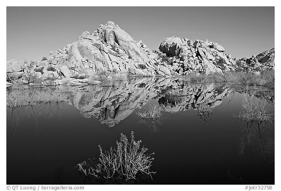 Rock formations reflected in Barker Dam Pond, morning. Joshua Tree National Park (black and white)