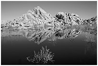 Rock formations reflected in Barker Dam Pond, morning. Joshua Tree National Park, California, USA. (black and white)