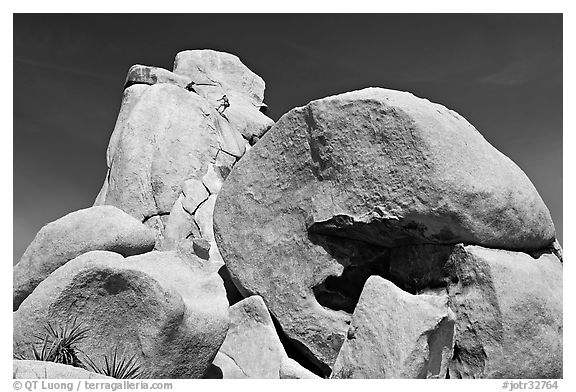 Rocks with climbers in a distance. Joshua Tree National Park (black and white)
