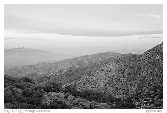 Keys View, sunrise. Joshua Tree National Park (black and white)