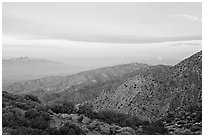 Keys View, sunrise. Joshua Tree National Park ( black and white)