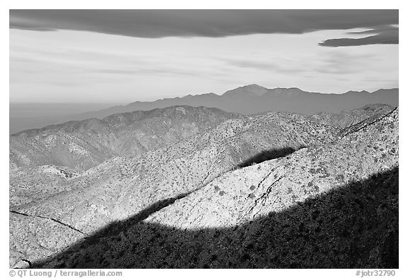 Ridges from Keys View, early morning. Joshua Tree National Park (black and white)