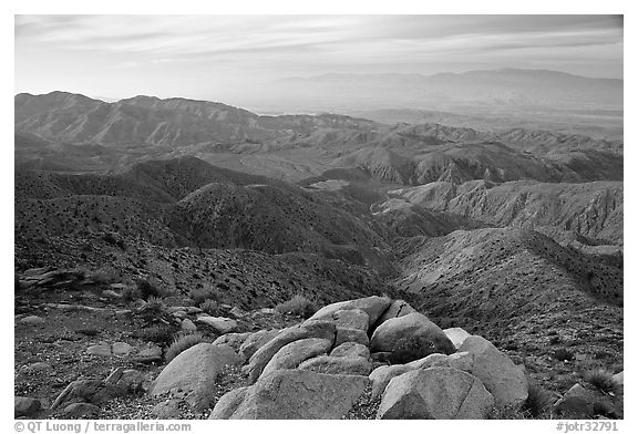 Keys View and Coachella Valley, morning. Joshua Tree National Park (black and white)