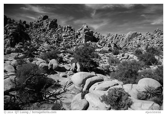 Hidden Valley. Joshua Tree National Park (black and white)