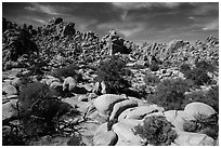 Hidden Valley. Joshua Tree National Park ( black and white)