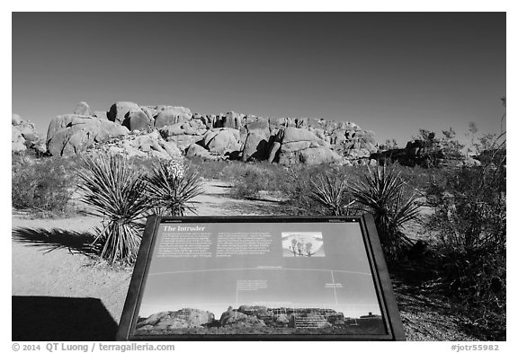 Interpretive sign, monzogranite formation. Joshua Tree National Park (black and white)