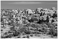 Boulders around White Tank. Joshua Tree National Park ( black and white)