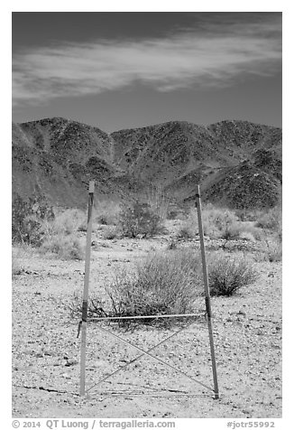 Signage and Pinto Mountains. Joshua Tree National Park (black and white)
