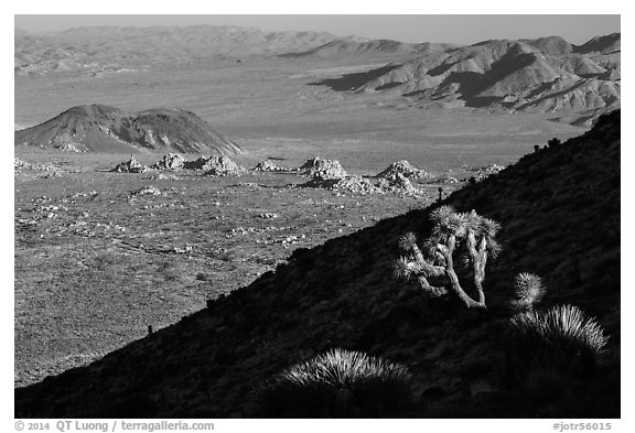 Cactus, slope in shade, and desert mountains. Joshua Tree National Park (black and white)