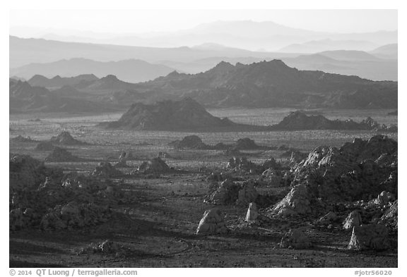 Wonderland of rocks from Ryan Mountain at sunset. Joshua Tree National Park (black and white)