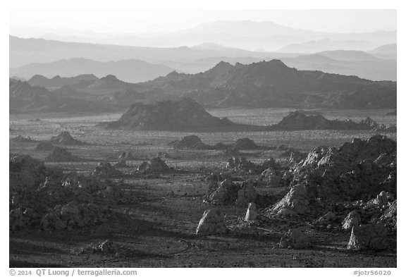 Wonderland of rocks from Ryan Mountain at sunset. Joshua Tree National Park (black and white)