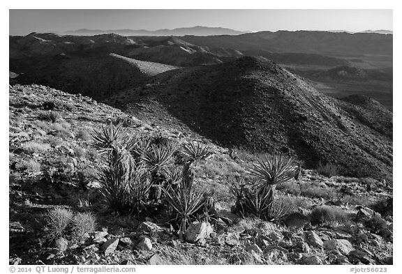View towards San Bernardino Mountains from Ryan Mountain. Joshua Tree National Park (black and white)