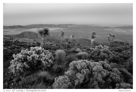 View from Ryan Mountain with earth shadow at dusk. Joshua Tree National Park (black and white)