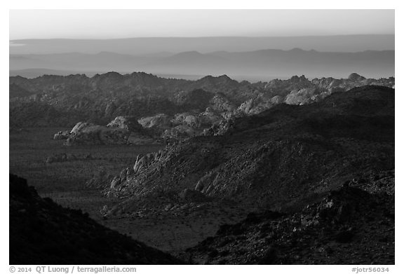 Wonderland of rocks at dusk. Joshua Tree National Park (black and white)