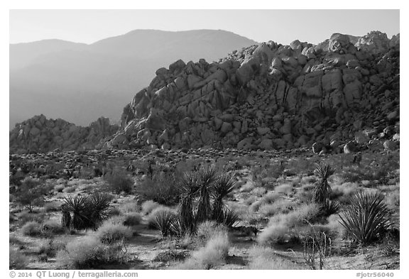 Boulder outcrop and ridge, Indian Cove. Joshua Tree National Park (black and white)