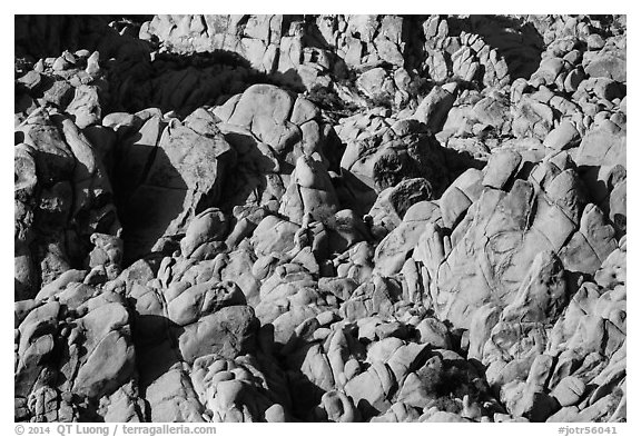 Boulder outcrop detail, Indian Cove. Joshua Tree National Park (black and white)