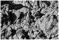 Boulder outcrop detail, Indian Cove. Joshua Tree National Park ( black and white)